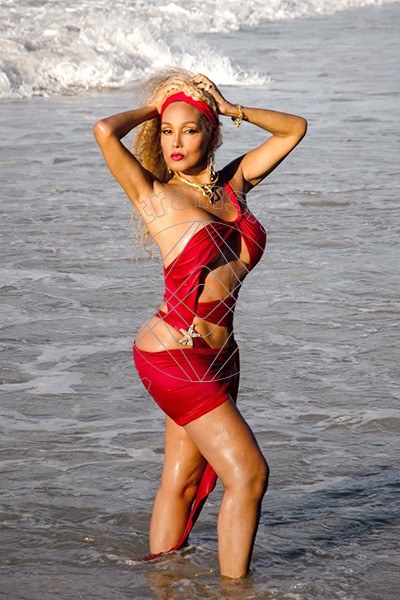 Foto 15 di Amber transex Milano
