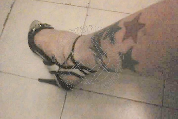 Foto 51 di Suzana Pantera transex Foggia