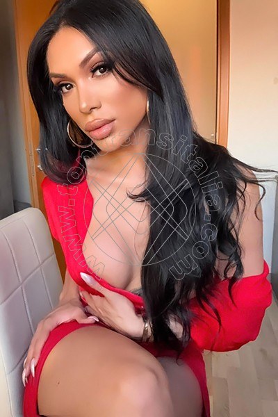 Foto 57 di Angel Bunny transex Roma