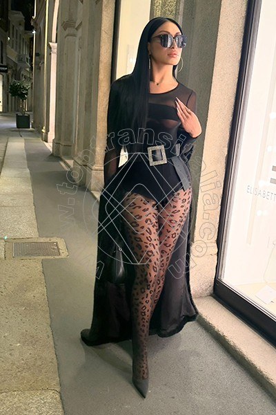 Foto 52 di Angel Bunny transex Roma