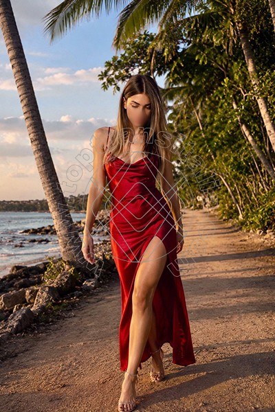 Foto 41 di Transex Italiana transex Modena