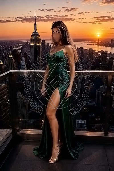 Foto 35 di Transex Italiana transex Modena