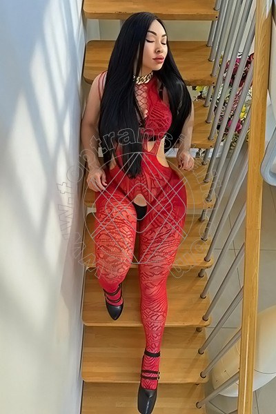 Foto di Jennifer Anguria Pornostar transex Civitanova Marche