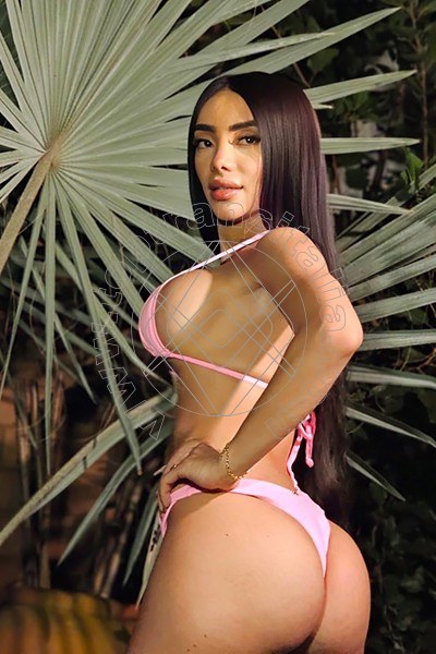 Foto 56 di Pamelita transex Roma