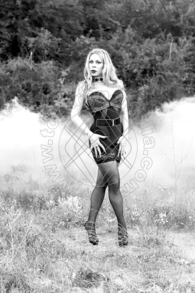Foto 29 di Ts Angelina - Crazy Sexy transex Frankfurt Am Main