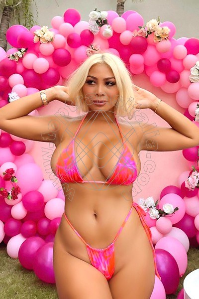Foto 5 di Vanessa Martinez transex Torino