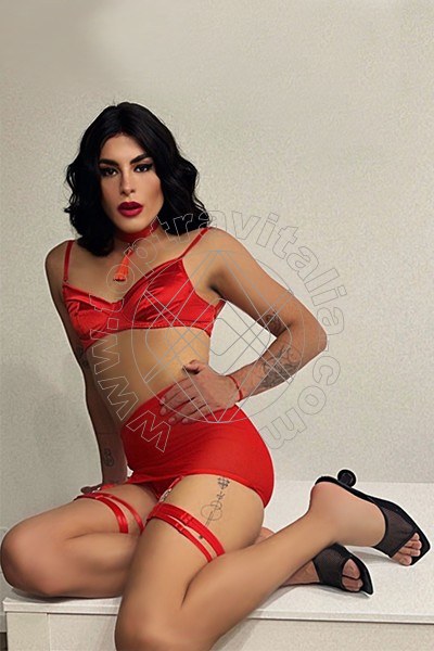 Foto 5 di Elisa transex Genova