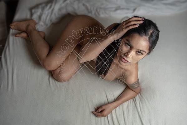 Foto 6 di Akita Trans Asiatica transex Milano