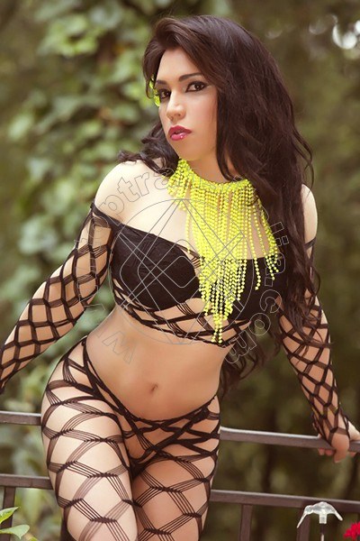 Foto 20 di Finny Gold transex Rovaniemi