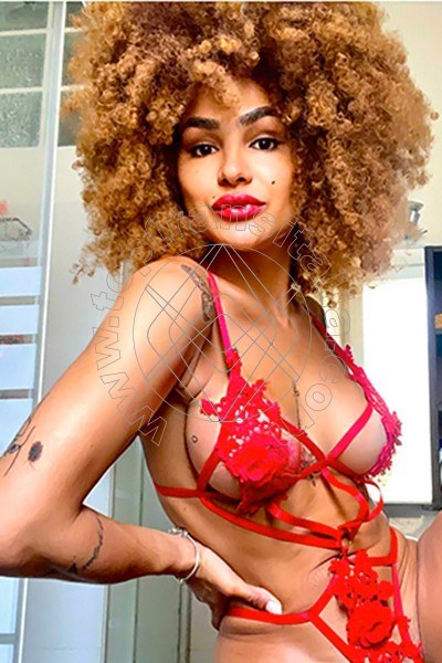 Foto 24 di Stella transex Milano