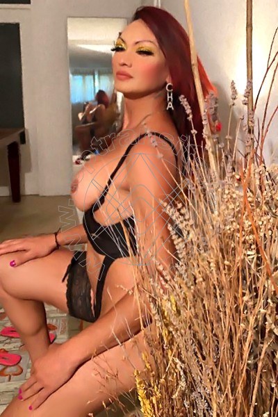 Foto 5 di Kamilla Bustamante transex Almería