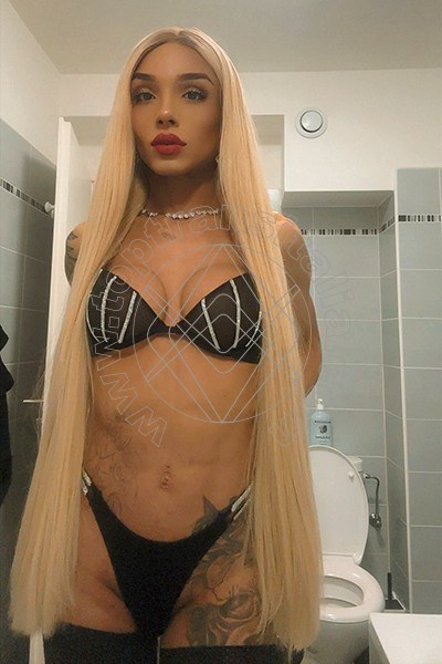 Foto 7 di Brunna Campanaro transex Bologna
