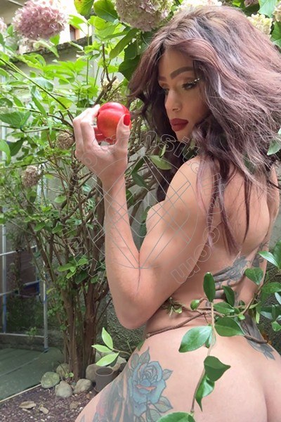 Foto 2 di Fernanda Ambrosio transex Bologna