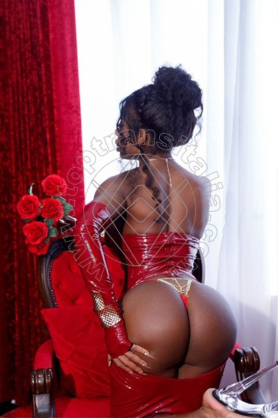 Foto 40 di Campbell transex Padova