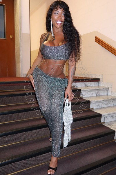 Foto 2 di Campbell transex Milano