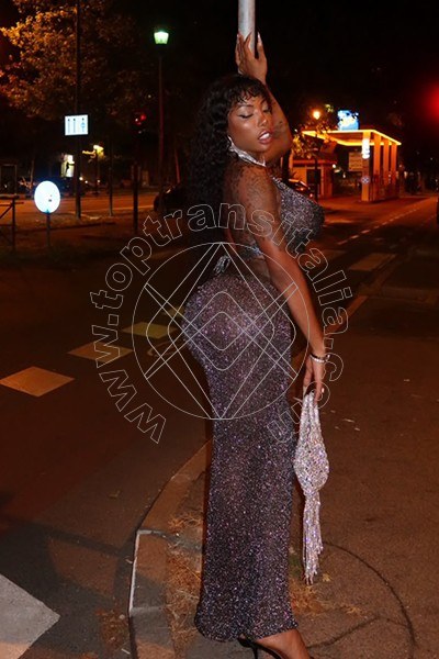 Foto 5 di Campbell transex Milano