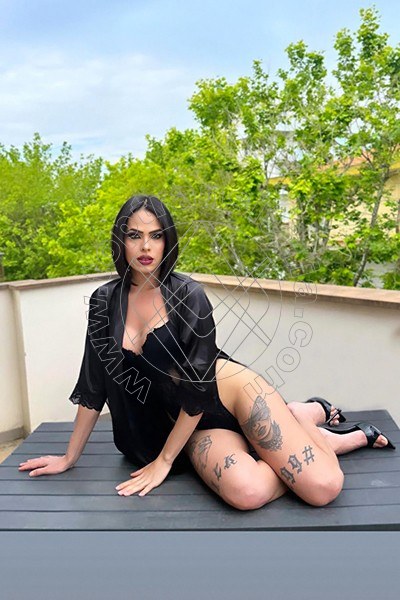 Foto 95 di Nick Miller transex Rimini