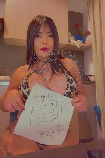 Foto 59 di Sofia Xxl transex Salerno