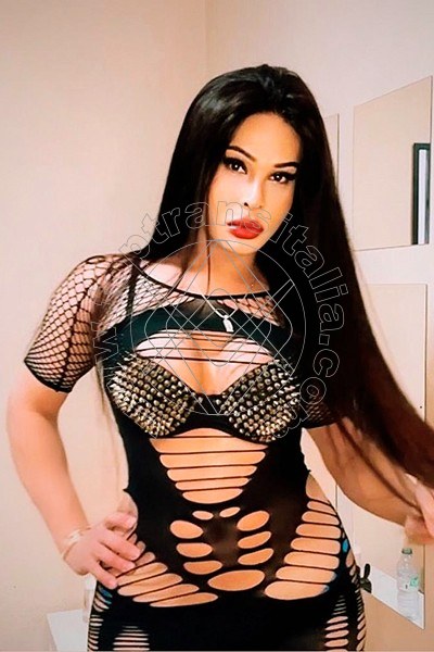 Foto 33 di Bianca Ferraz transex Madrid