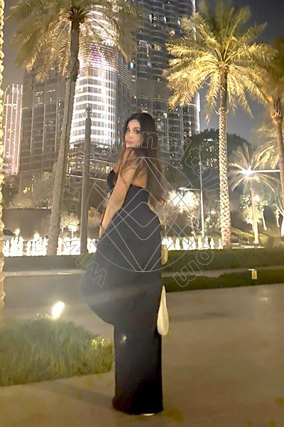 Foto 2 di Alexia Zoldick transex Montélimar