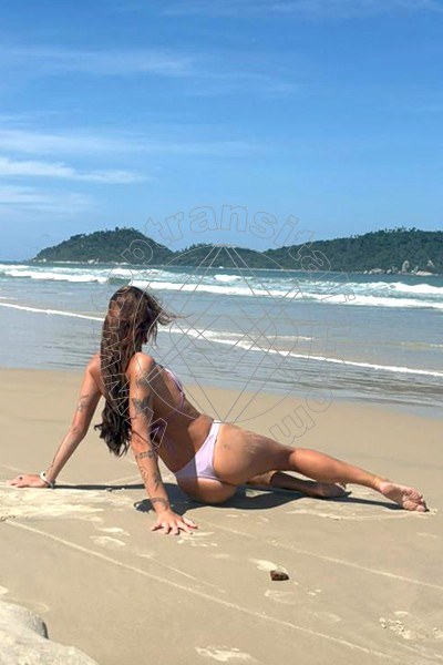 Nyx MILANO 3295371331