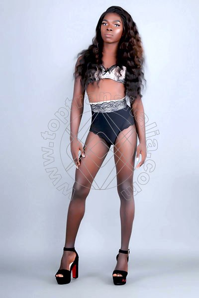 Foto 49 di Safira Sant'z transex Alba Adriatica