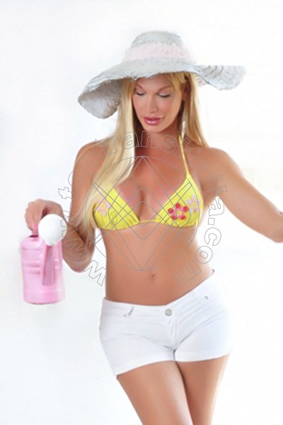 Foto 164 di Brigitte transex Isernia