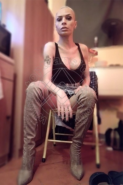 Foto 8 di Alessia Bona Massaggiatrice Bionda transex Piacenza