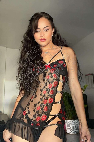 Victoria New BOLOGNA 3394337857