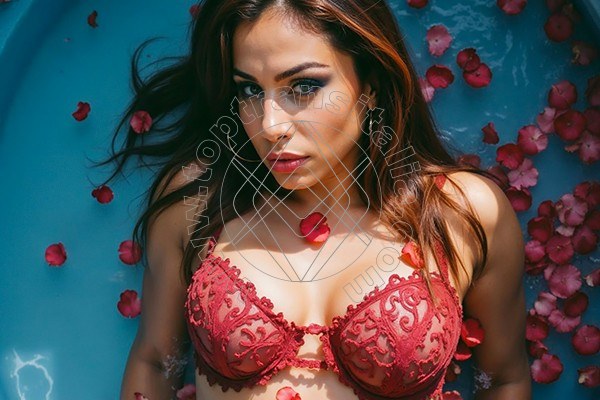 Foto 9 di Alessia Transex transex Roma