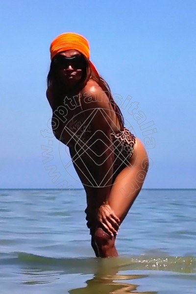 Foto 19 di Pantera transex Lido Di Savio
