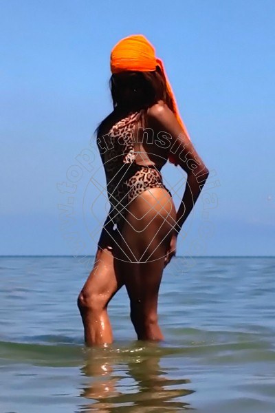 Foto 16 di Pantera transex Lido Di Savio