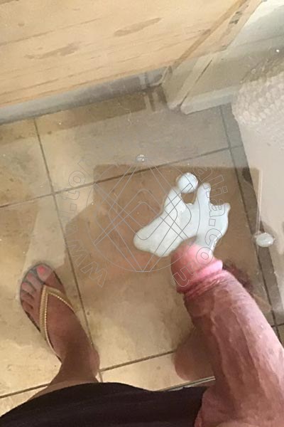 Foto hot 1 di Ingrid Garcia transex Gallarate