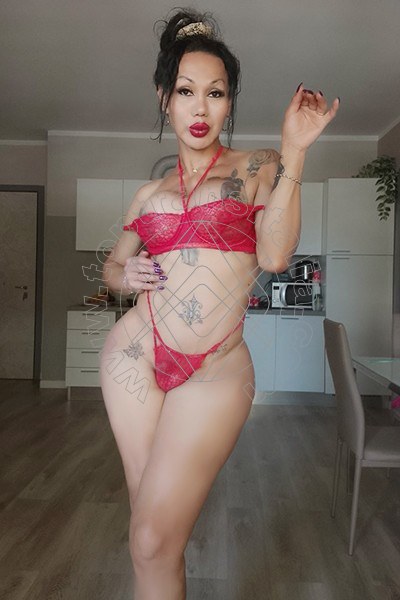 Foto 10 di Adriana Paulett transex Paese