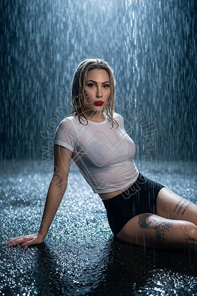 Foto 12 di Sasha Ysmith transex Bergamo