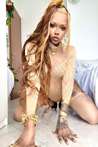 Foto 41 di Bruna Diaz XL transex Porto Sant'elpidio