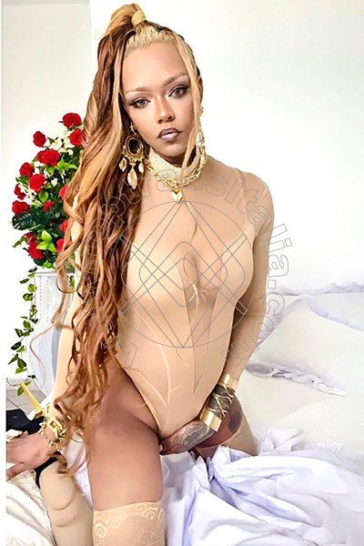 Foto 40 di Bruna Diaz XL transex Porto Sant'elpidio