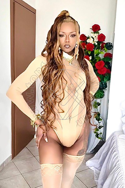Foto 35 di Bruna Diaz XL transex Porto Sant'elpidio