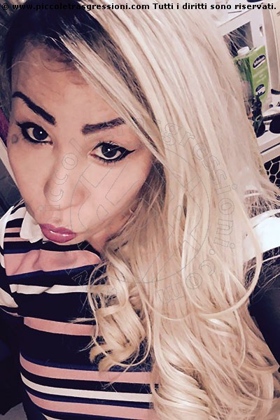 Foto selfie 1 di Daniela transex Lisbona