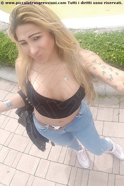 Foto selfie 70 di Sofia Vargas transex Anversa