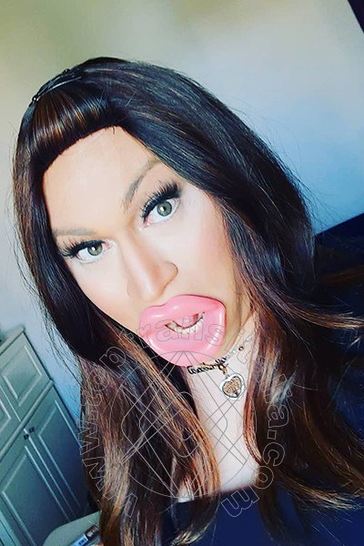 Foto selfie 38 di Lady B transex Padova