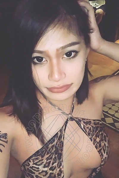 Foto selfie 6 di Akita Trans Asiatica transex Milano