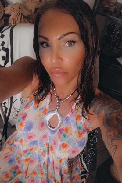 Foto selfie 285 di Valeria transex Treviso
