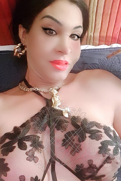 Foto selfie 58 di Rosa Xxxl transex Roma