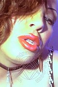 Foto selfie 2 di Bonita transex Friburgo in brisgovia