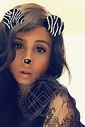 Foto selfie di Ts Amina Orient Xl transex Pforzheim