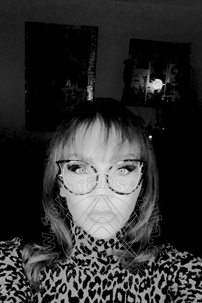 Foto selfie 247 di Valeria transex Treviso