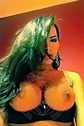 Foto selfie di Katryne Sexy transex Livorno