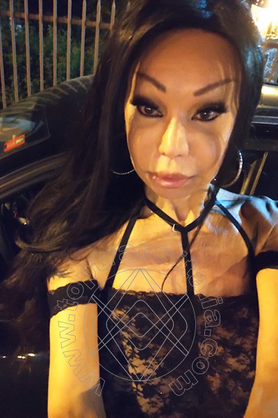Foto selfie 21 di Luciana Hot transex Bergamo
