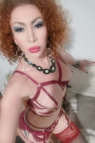 Foto selfie 30 di Leslyn transex Reggio Emilia